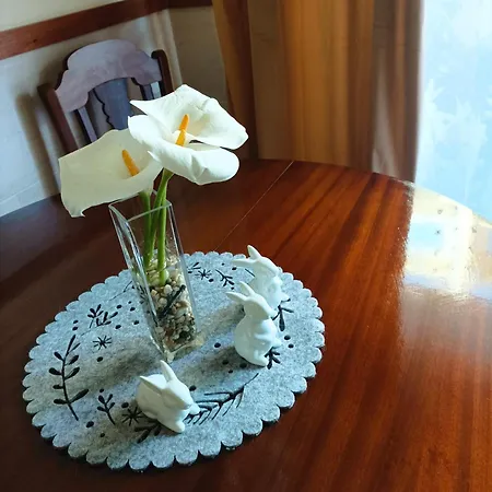 بيت ضيافة Brisa Do Cavado-studio Terrace