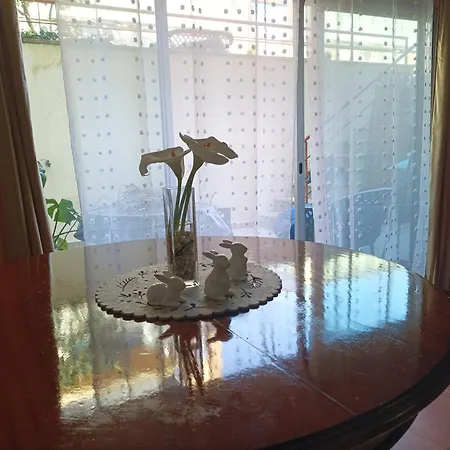 Cavado Terrace بيت ضيافة