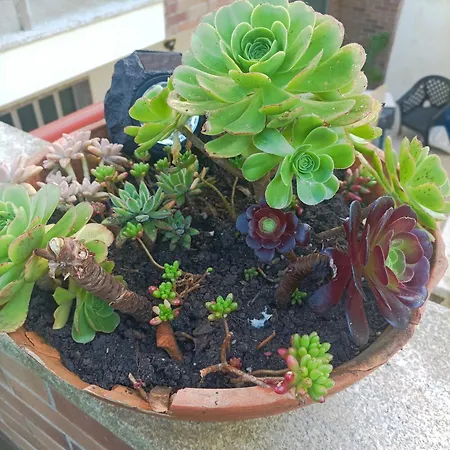 Cavado Terrace 3* Parada de Tibaes