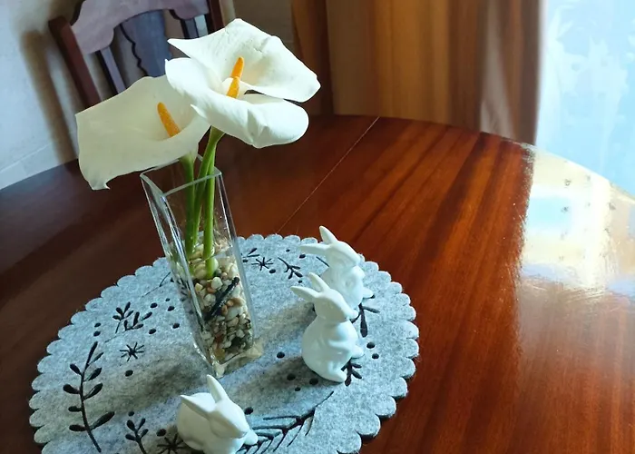 Gasthuis Cavado Terrace