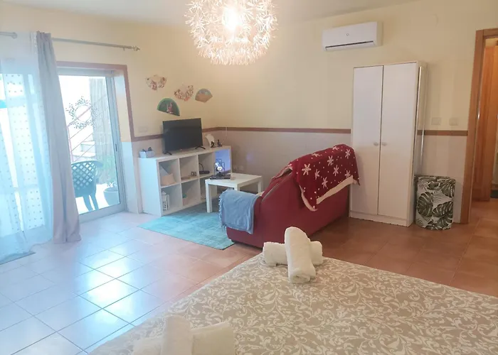 Cavado Terrace 게스트하우스